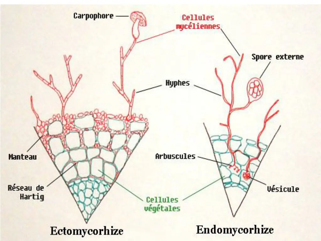 slide23