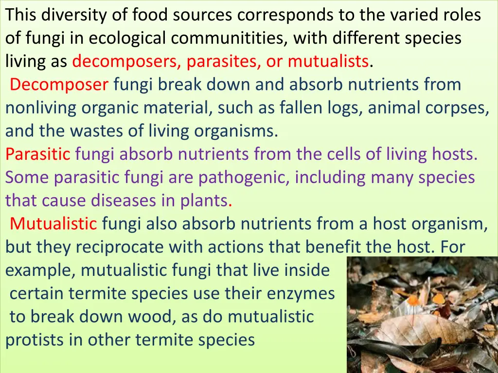 this diversity of food sources corresponds