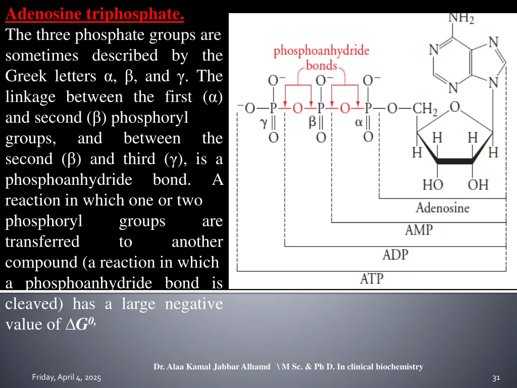 adenosine triphosphate the three phosphate groups
