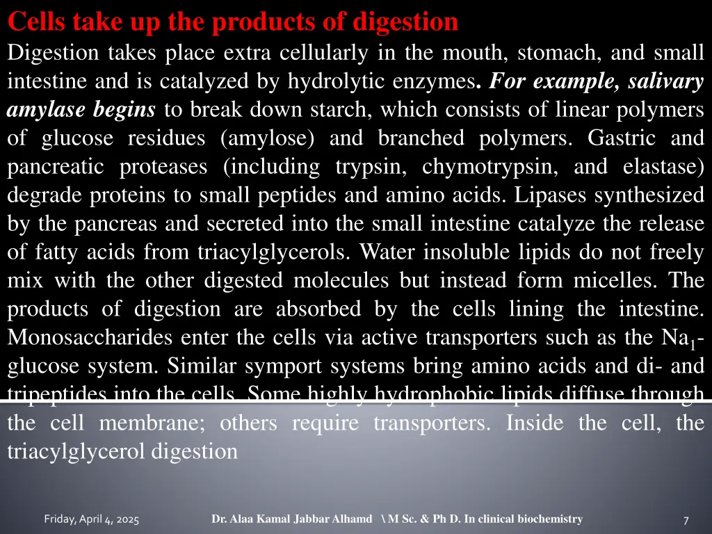 cells take up the products of digestion digestion
