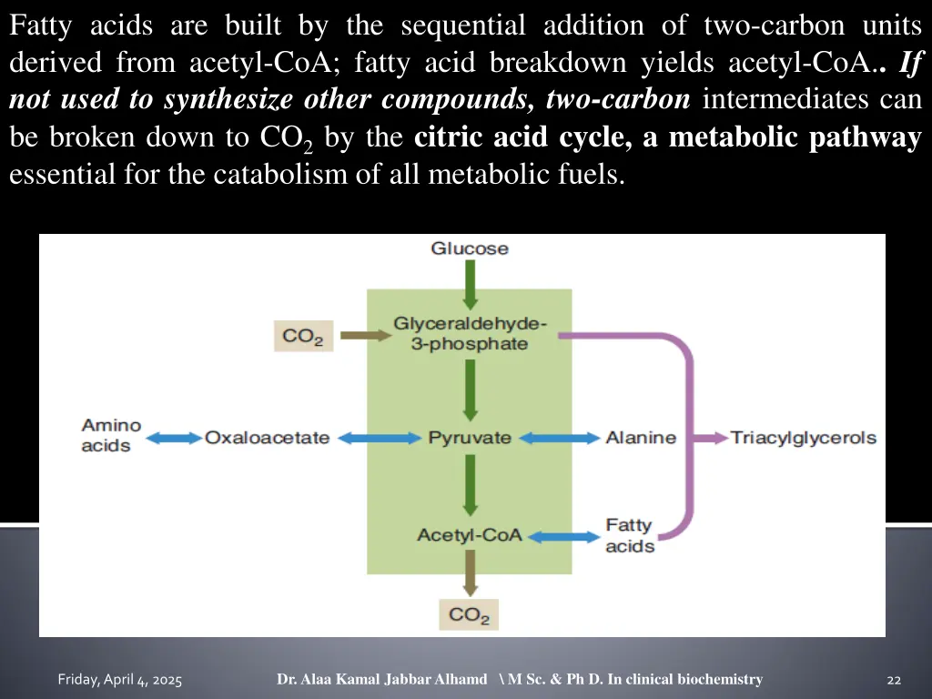 fatty acids are built by the sequential addition