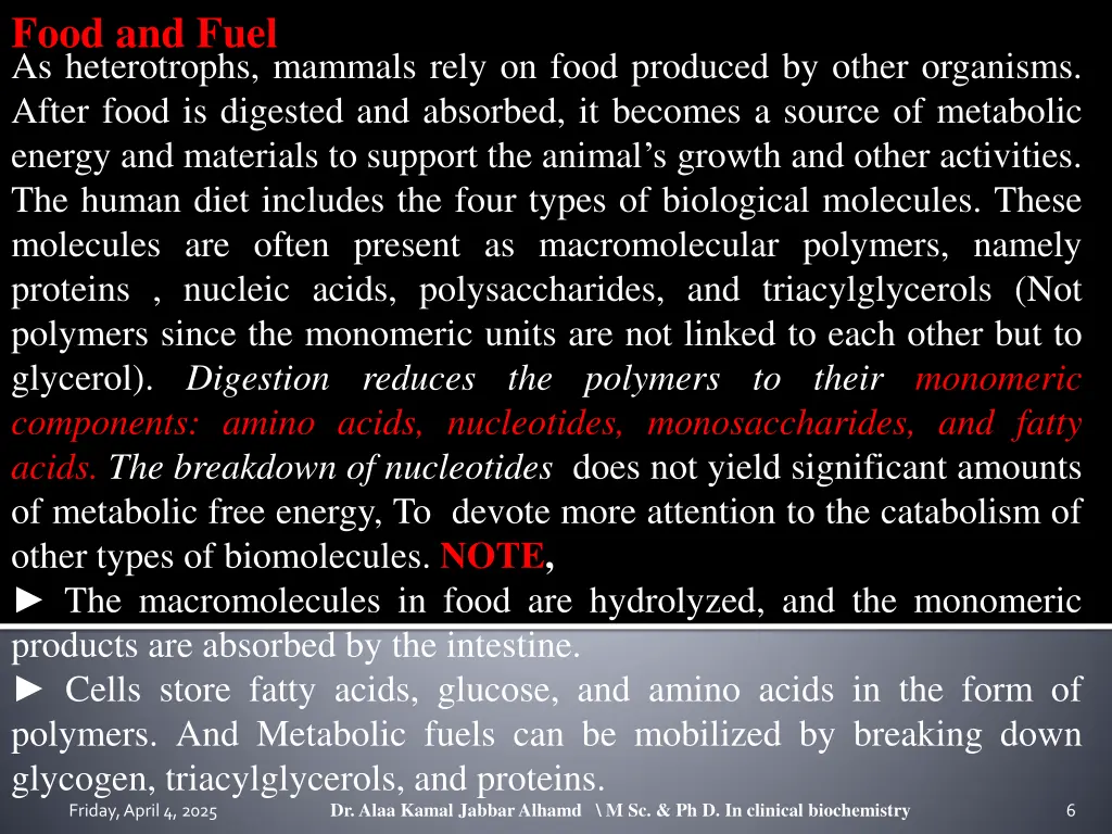 food and fuel as heterotrophs mammals rely