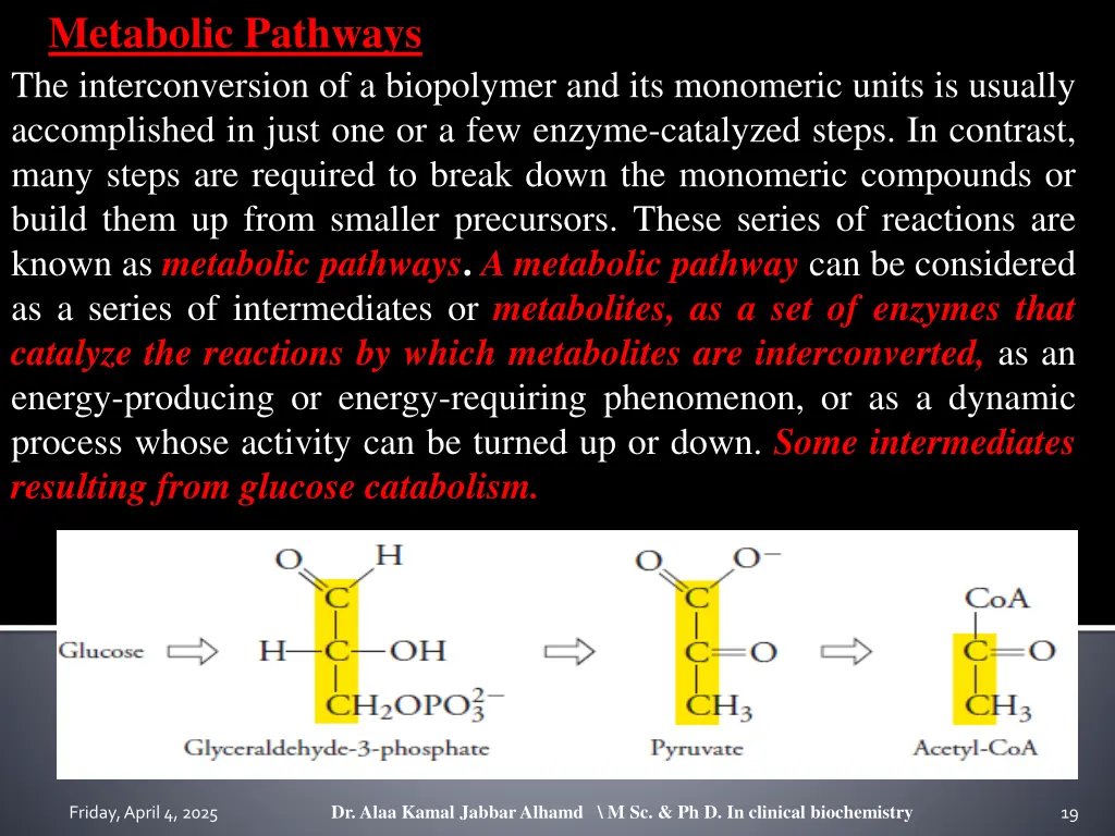 metabolic pathways the interconversion