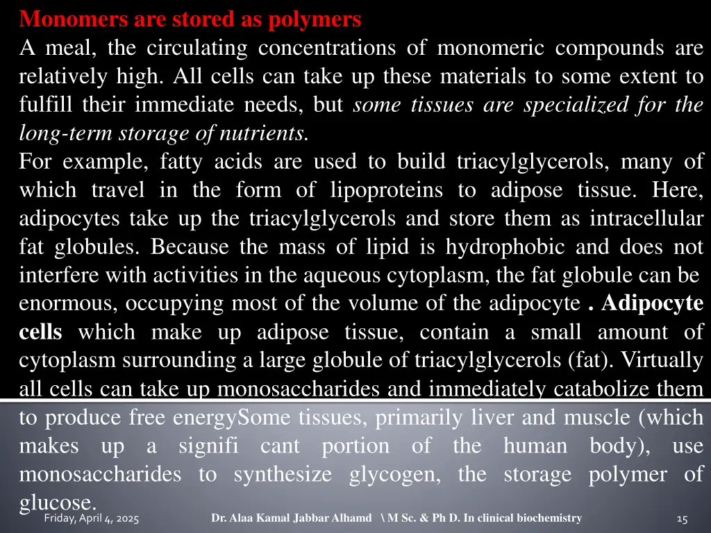 monomers are stored as polymers a meal