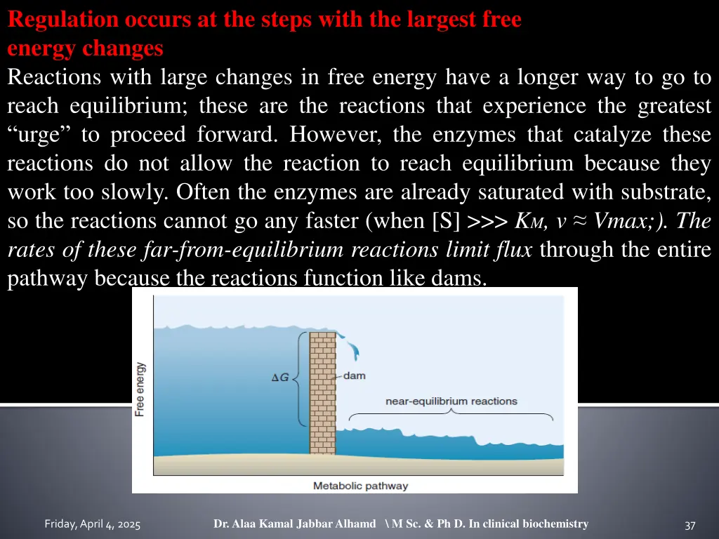 regulation occurs at the steps with the largest