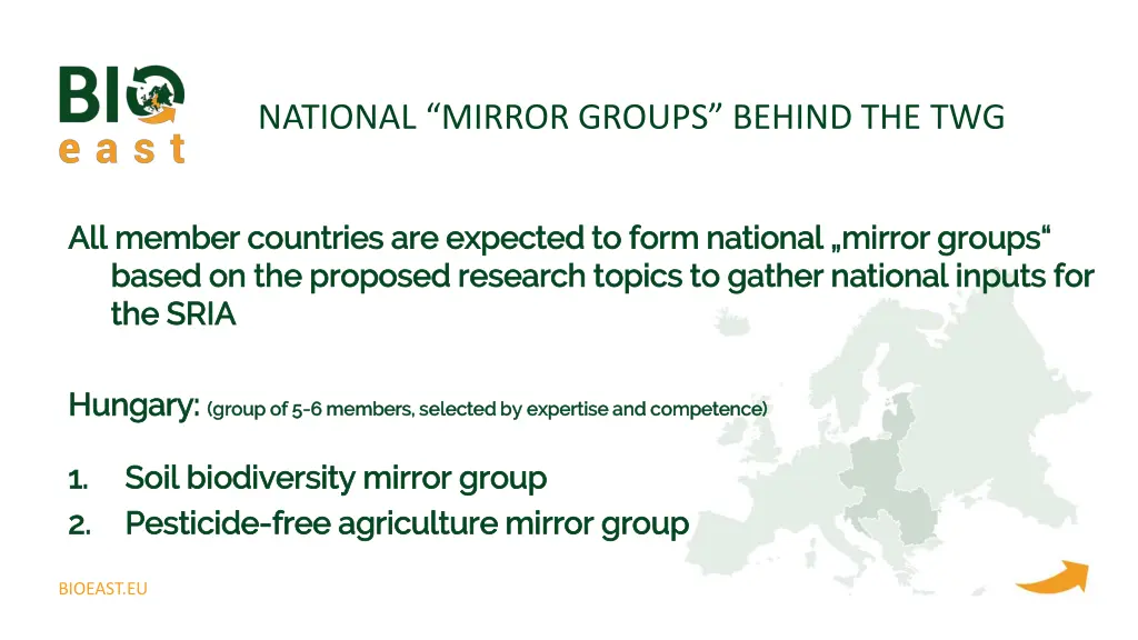 national mirror groups behind the twg