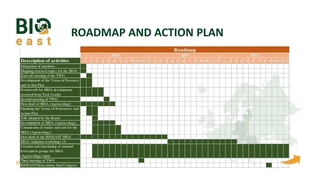 roadmap and action plan