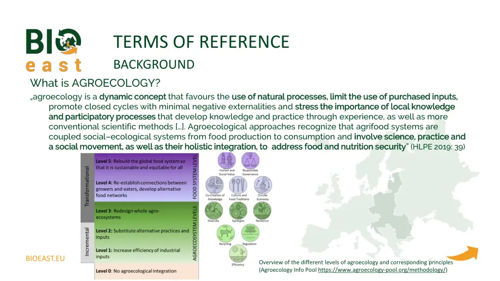 terms of reference background 1