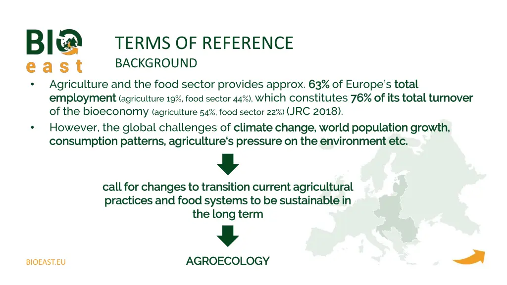 terms of reference background