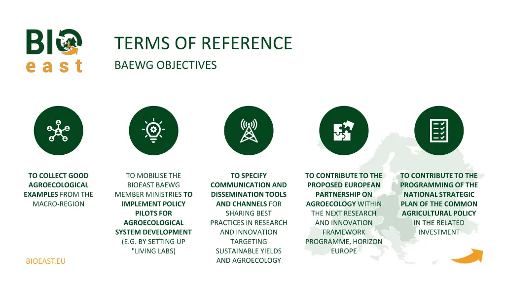 terms of reference baewg objectives 1