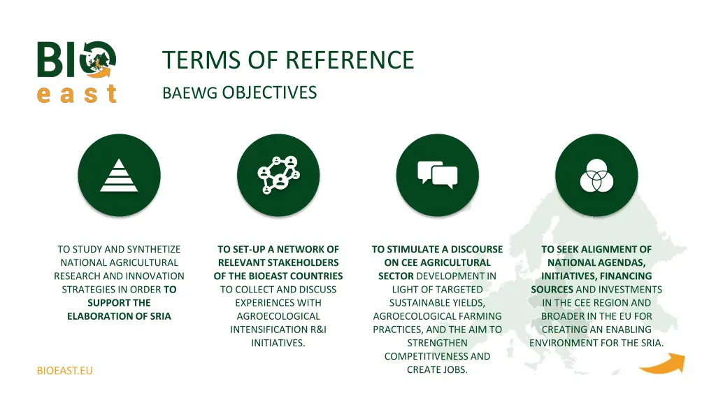 terms of reference baewg objectives