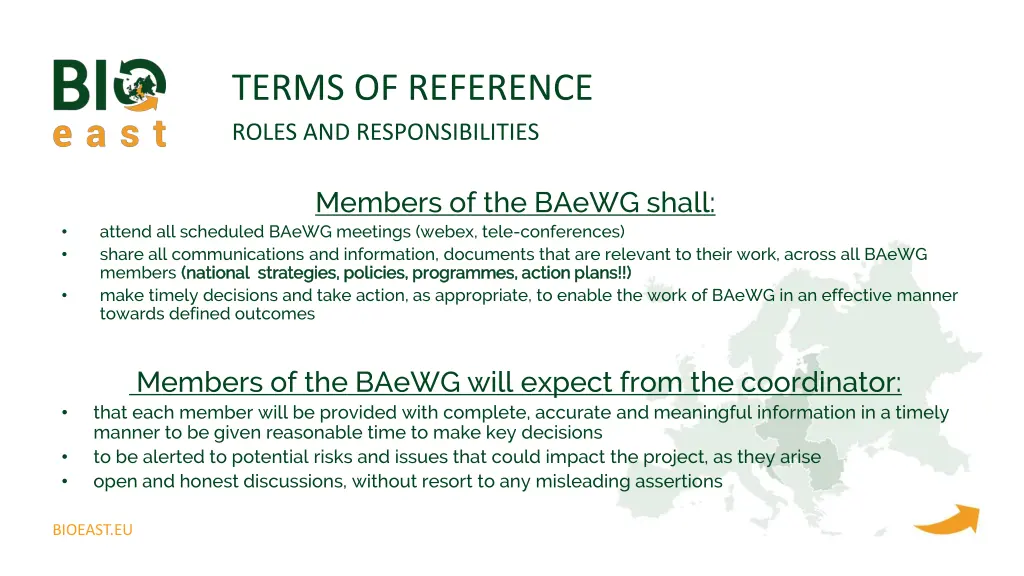 terms of reference roles and responsibilities