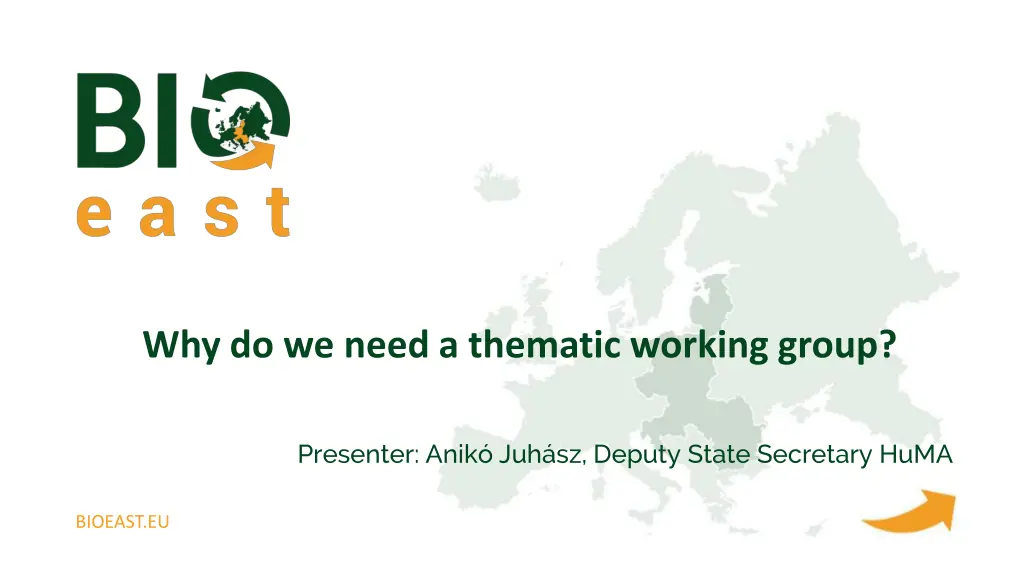 why do we need a thematic working group