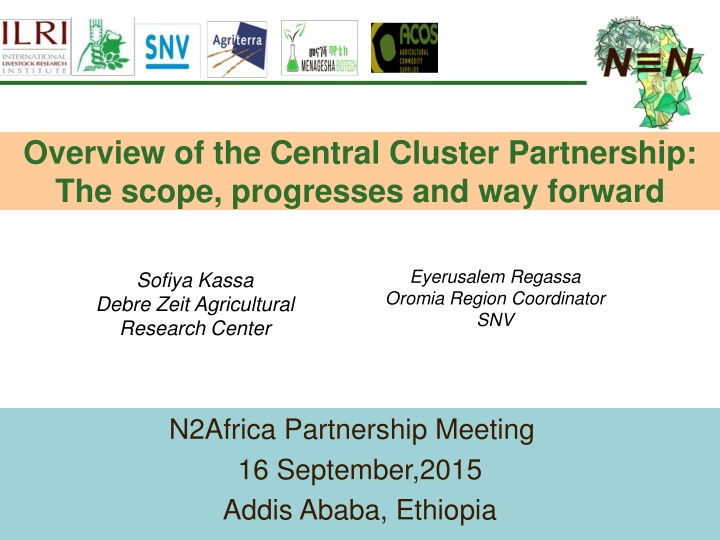 overview of the central cluster partnership