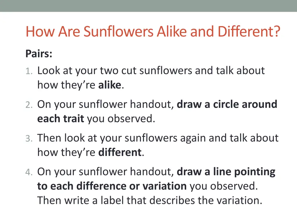 how are sunflowers alike and different 1