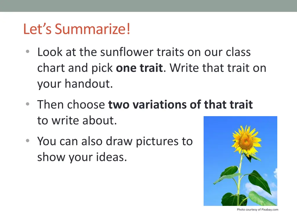let s summarize look at the sunflower traits
