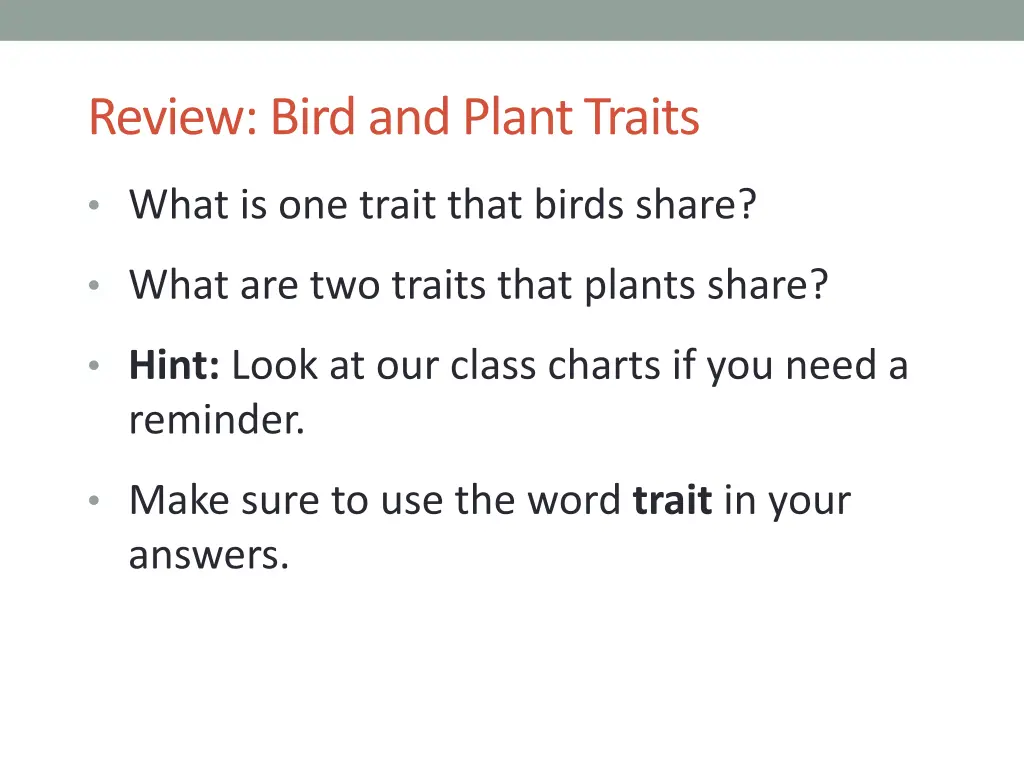 review bird and plant traits