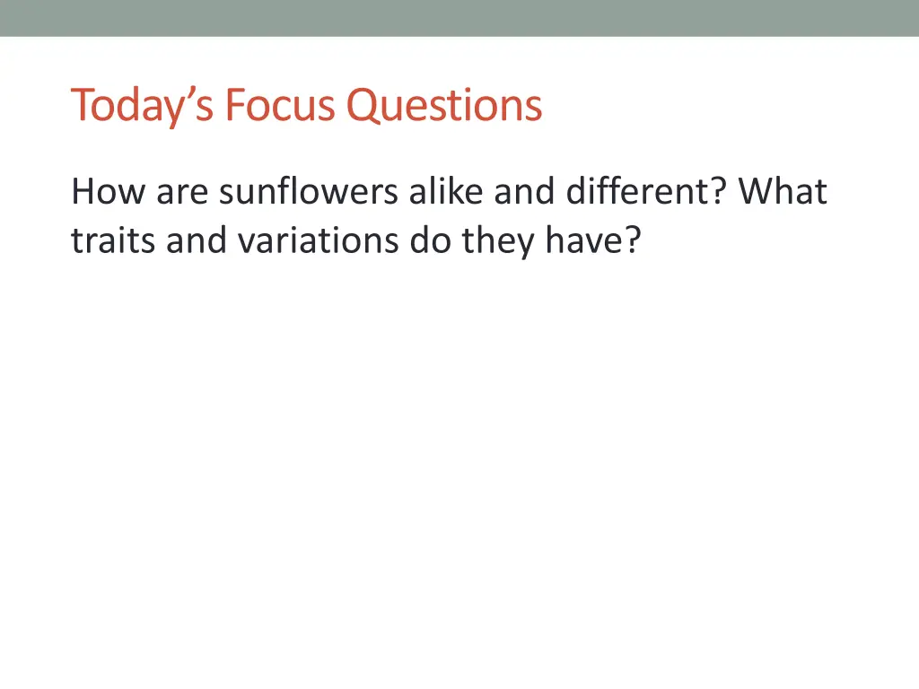 today s focus questions 1
