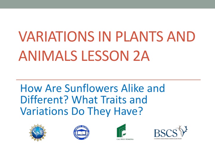 variations in plants and animals lesson 2a