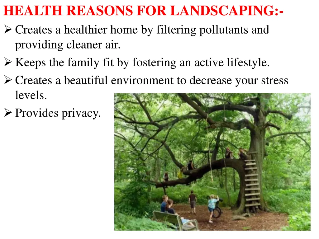 health reasons for landscaping creates