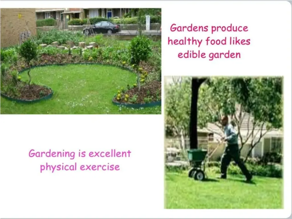 slide10