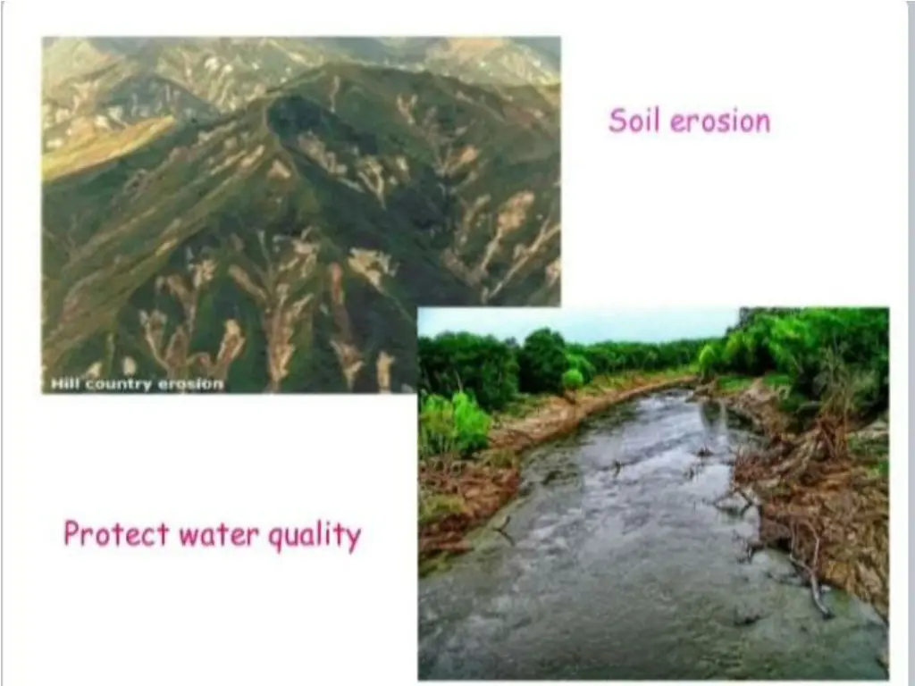 slide15