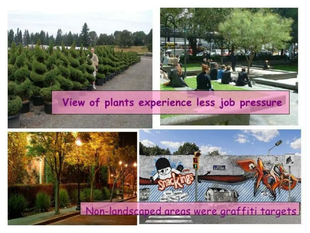 slide9
