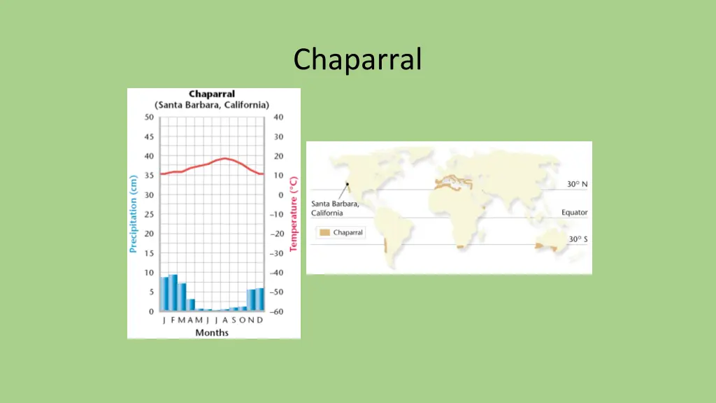 chaparral 1