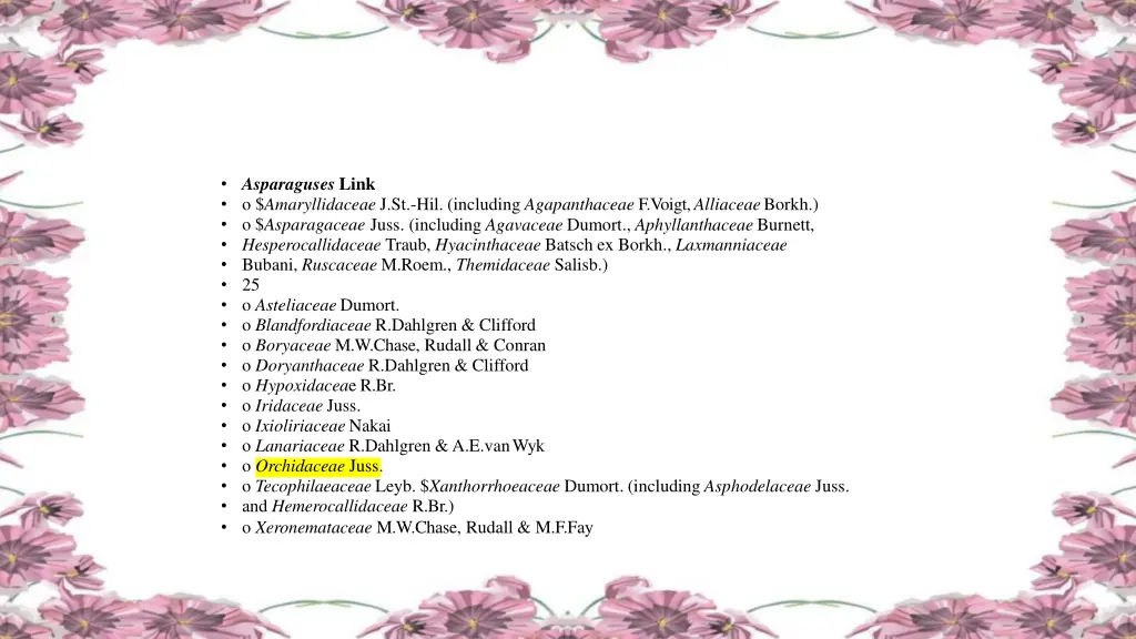 asparaguses link o amaryllidaceae
