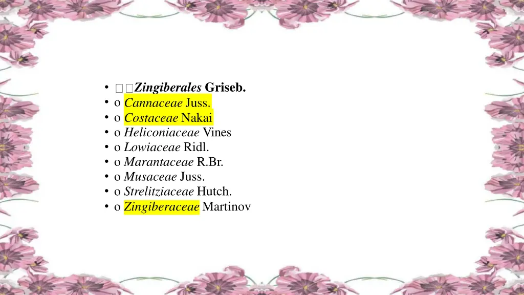 zingiberales griseb