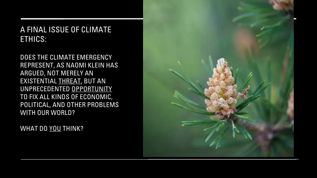 a final issue of climate ethics