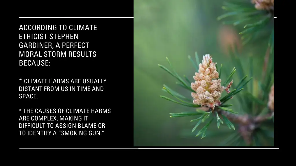 according to climate ethicist stephen gardiner