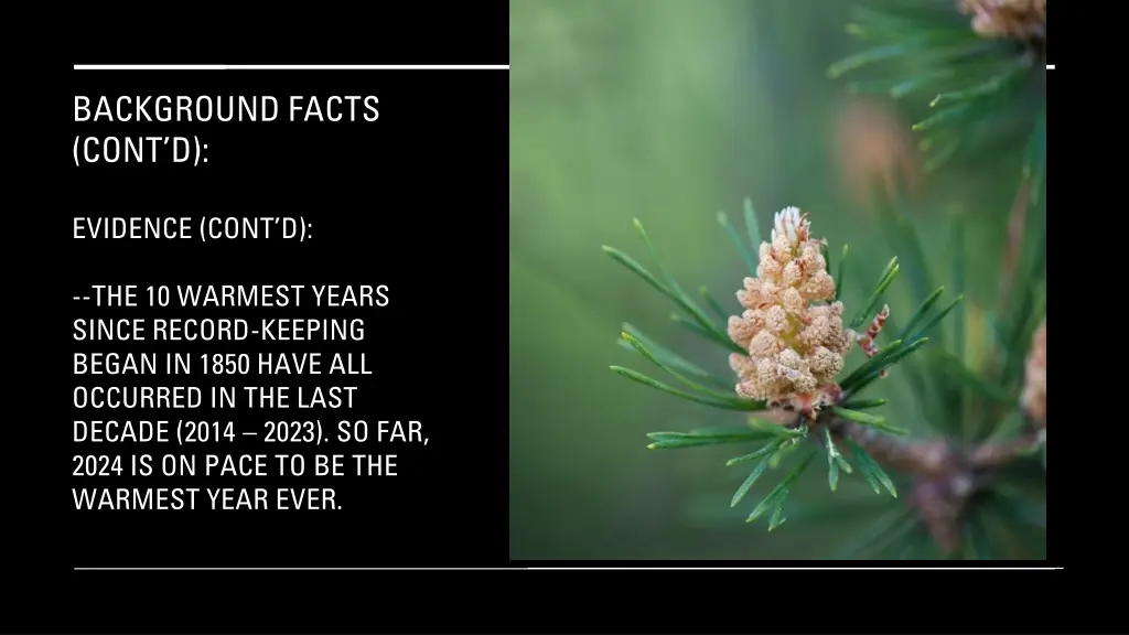 background facts cont d 1