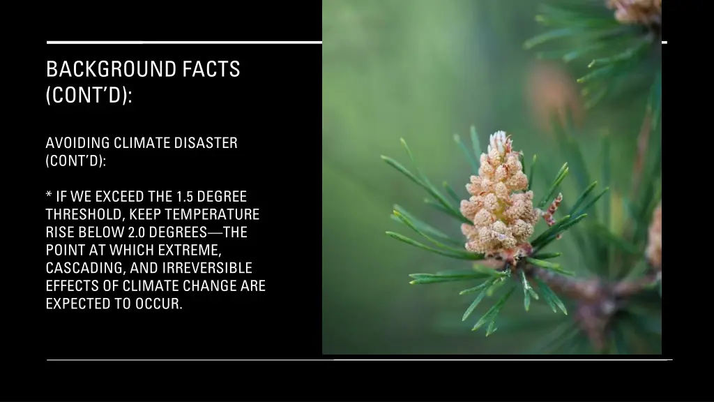 background facts cont d 10