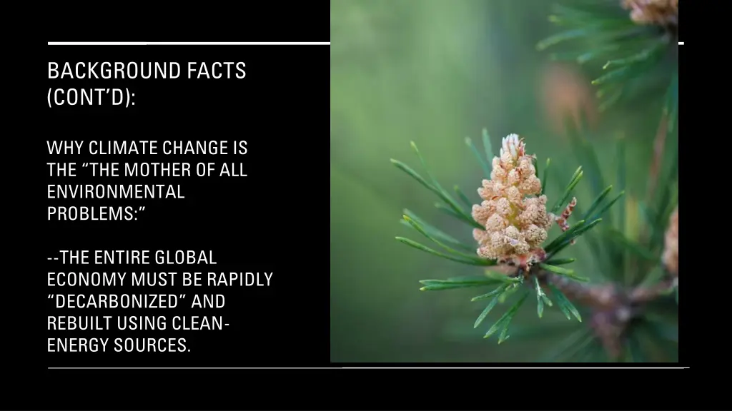 background facts cont d 11