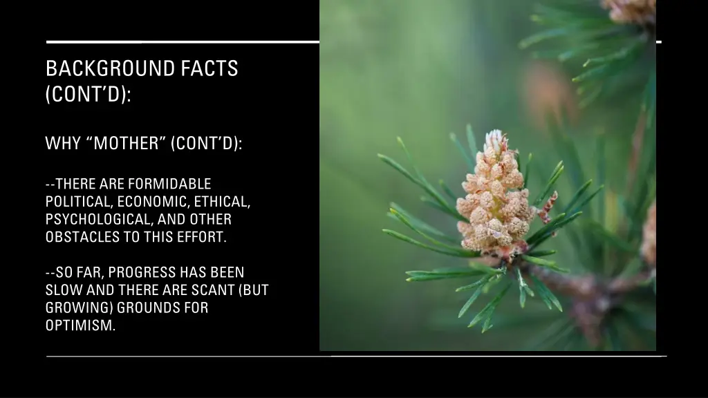 background facts cont d 13