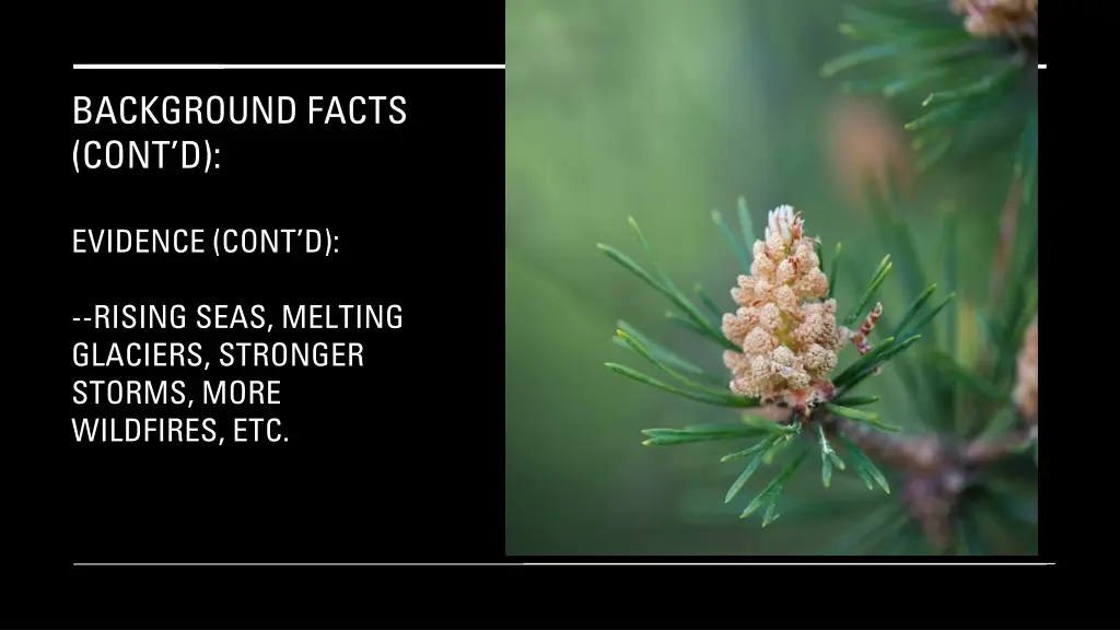 background facts cont d 2