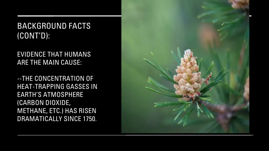 background facts cont d 3