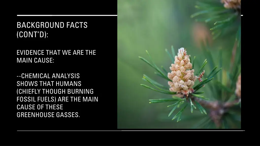 background facts cont d 4