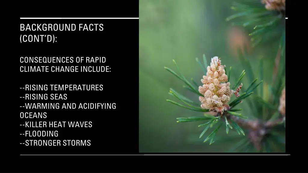 background facts cont d 6