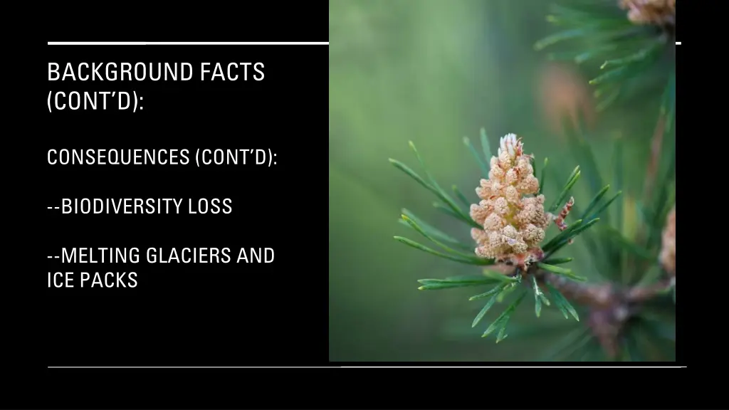 background facts cont d 7