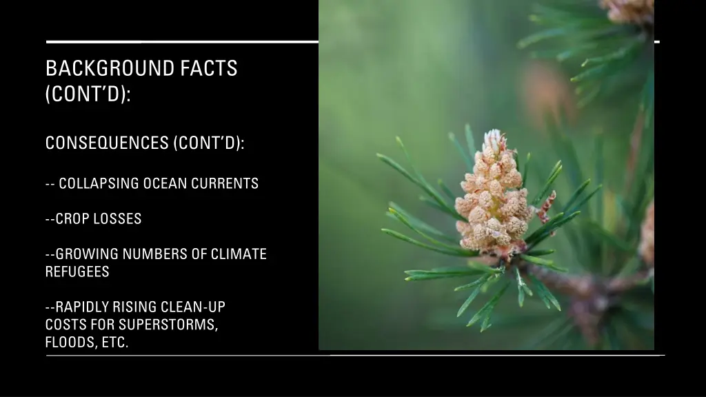 background facts cont d 8