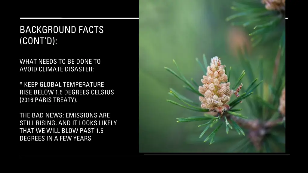 background facts cont d 9