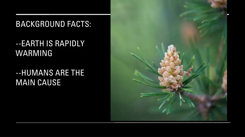 background facts