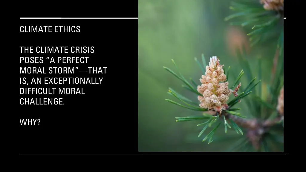 climate ethics
