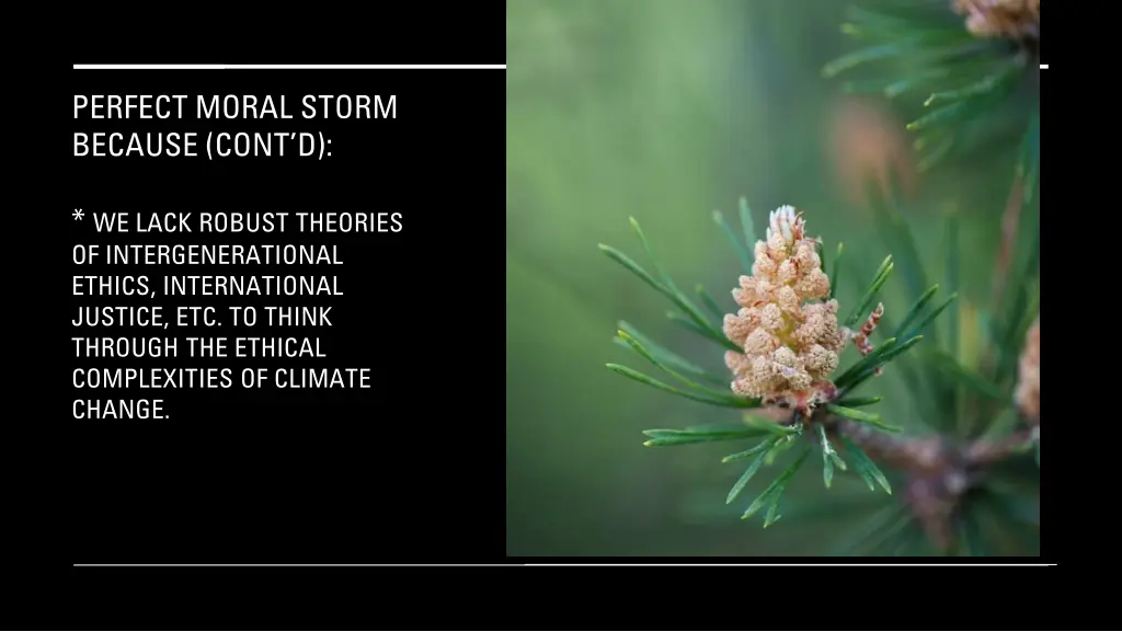 perfect moral storm because cont d 1