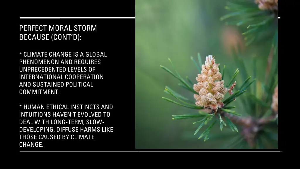 perfect moral storm because cont d