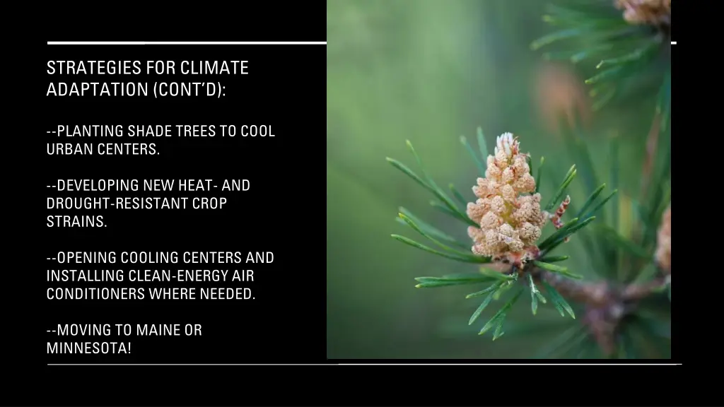 strategies for climate adaptation cont d