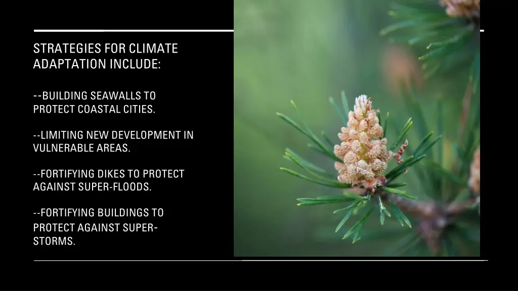 strategies for climate adaptation include