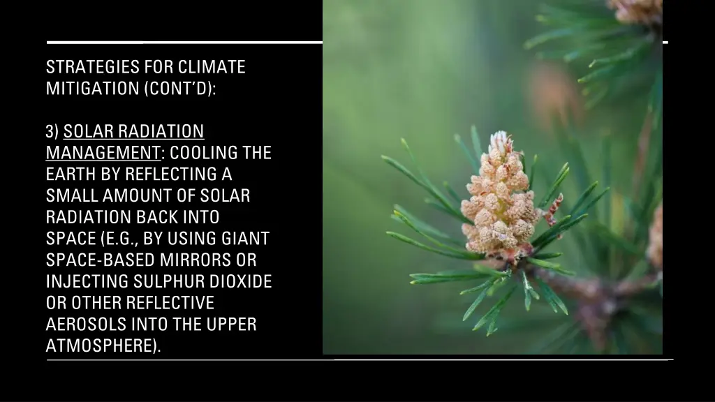 strategies for climate mitigation cont d 1